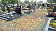 Der Friedhof an der Bamberger Straße in Höchstadt schlägt derzeit hohe Wellen. Immer mehr aufgelassene Gräber sind der Anlass für Umgestaltungspläne.