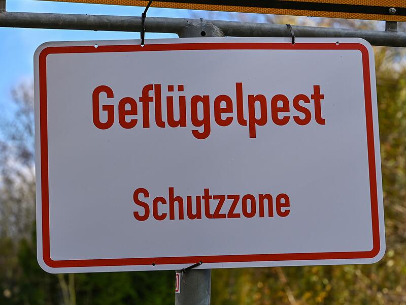 Geflügelpest