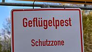 Geflügelpest