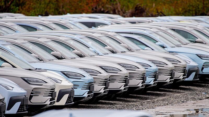 Elektrofahrzeuge von Byd