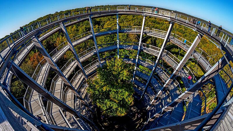 Der &bdquo;Leuchtturm&ldquo; ist im Licht der Rechnungspr&uuml;fer ein Fass ohne Boden: Mehrkosten beim Bau und ein Betriebsdefizit t&uuml;rmen sich beim Baumwipfelpfad.