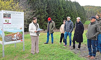 Zwischen Friesen und Gundelsdorf wurden die Fundamente von zwei Saliert&uuml;rmen entdeckt. Eine Infotafel am Fundort erkl&auml;rt, wieso das so besonders ist und was sich seit dem Fund getan hat. Daniela Pondelicek