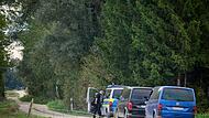 Polizei sucht mutmaßlichen Puma in Bayern Polizei sucht mutmaßlichen Puma in Bayern