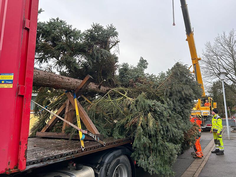 Unterwegs mit dem Coburger Weihnachtsbaum