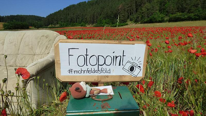 Spenden kommen einem gemeinnützigen Zweck zugute.Forchheim & Fränkische Schweiz