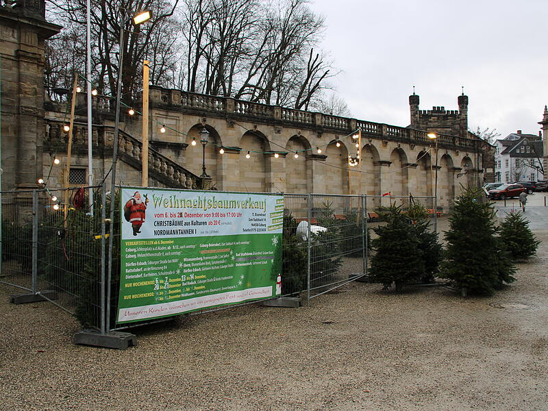 Am Schlossplatz gibt es im Dezember immer Weihnachtsbäume zu kaufen.