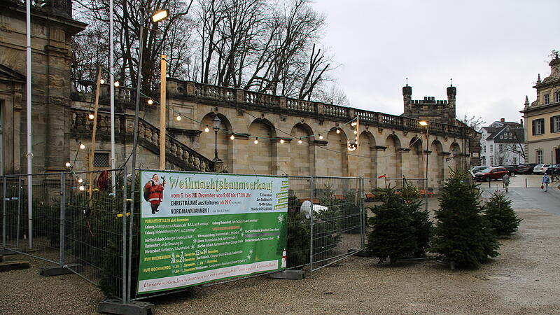Am Schlossplatz gibt es im Dezember immer Weihnachtsbäume zu kaufen.