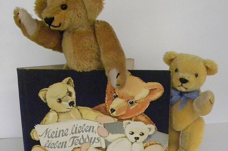 Teddys auf und in B&uuml;chern
