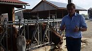 Mit der Photovoltaikanlage auf dem 2018 erbauten Stall wird der Stromeigenbedarf gedeckt, wie Hannes Porzelt unter anderem erläutert.