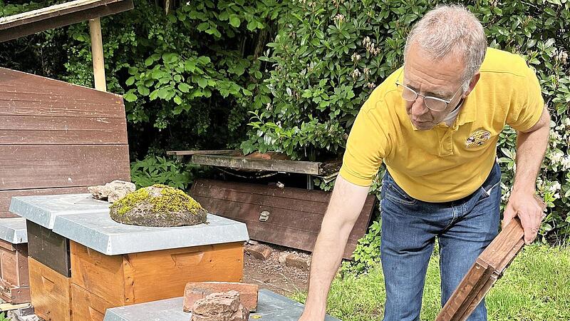 Spannende Einblicke in den Aufbau eines Bienenstocks.