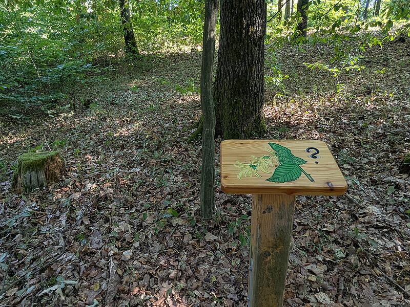 Naturlehrpfad RehbergNaturlehrpfad Rehberg
