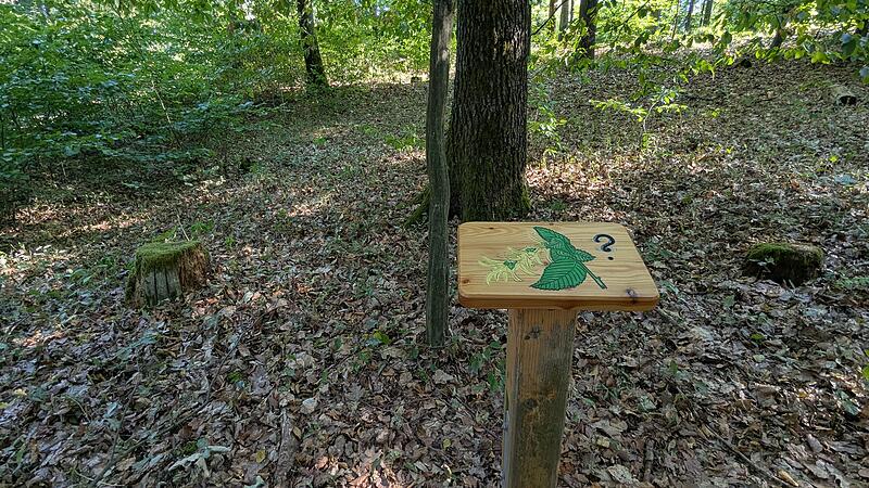 Naturlehrpfad RehbergNaturlehrpfad Rehberg