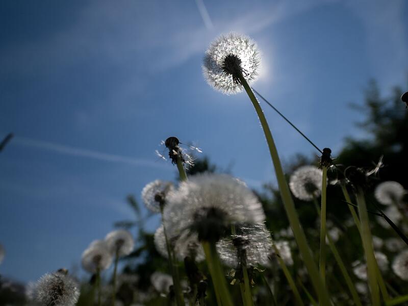 Wetter in Bayern