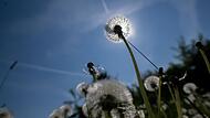 Wetter in Bayern