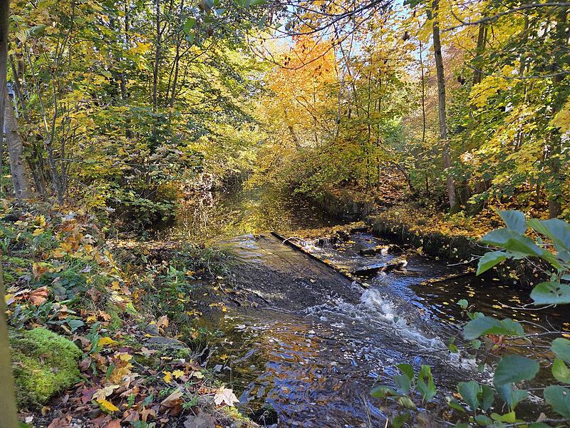 Die Sinn mit herbstlichen Farbspiegelungen im Staatsbad Bad Brückrenau