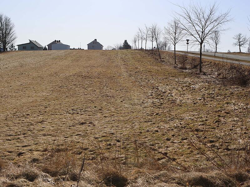 Projekt NordwaldWerkstadt Projekt NordwaldWerkstadt