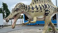 Seit Dienstag haben Dinosaurier den Forchheimer Festplatz in der Hafenstra&szlig;e &uuml;bernommen.