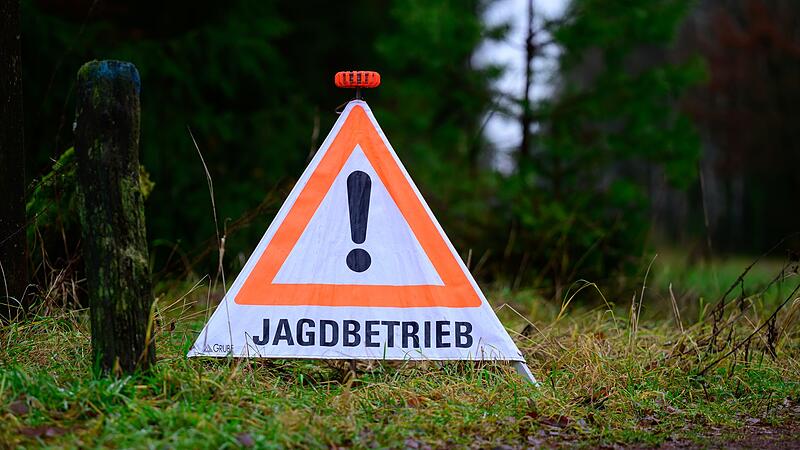 Die Angst vor der Afrikanischen Schweinepest