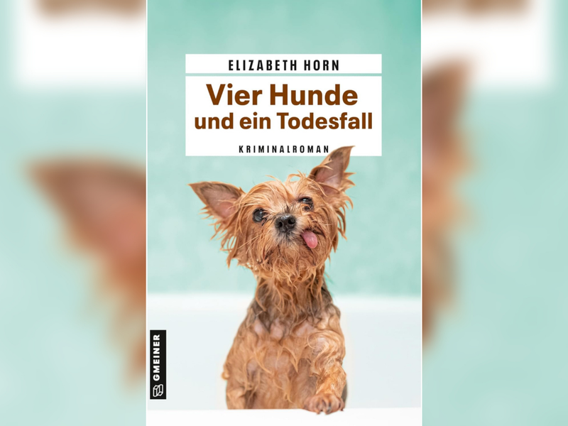 Titelbild des neuen Kissingen-Krimis von Elizabeth Horn Titelbild des neuen Kissingen-Krimis von Elizabeth Horn