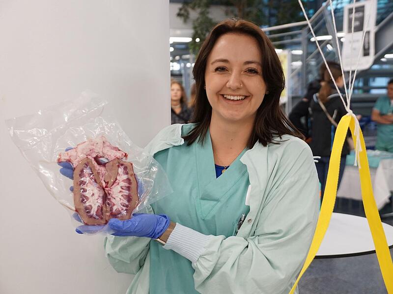 Das geht an die Nieren – ein Informations-Angebot der Internistischen Medizin am Uniklinikum rund um Transplantation, Dialyse und Antikörper-Blutwäsche. Das geht an die Nieren – ein Informations-Angebot der Internistischen Medizin am Uniklinikum rund um Transplantation, Dialyse und Antikörper-Blutwäsche.