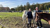Reitanlage Obere Saline Bad Kissingen