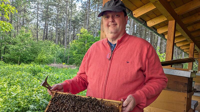 Dieter Schölzke hat einen Rahmen voller Bienen in der Hand.