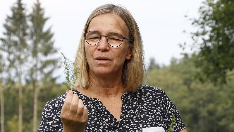 Nach der Blüte ist die Bärwurz immer noch an ihren fenchelartigen Blättern zu erkennen, zeigt hier Christine Neubauer.