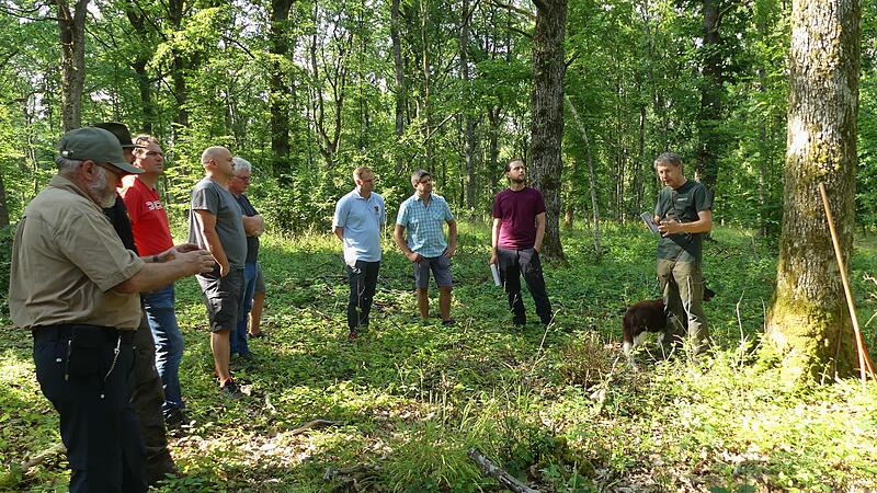 Treffpunkt Wald: Hubert T&uuml;rich (AELF, ganz rechts) und F&ouml;rster Matthias Lunz zeigten den Oerlenbachern vor Ort, wie es um den Wald bei Rottershausen bestellt ist.