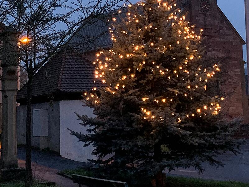 &bdquo;Wir wohnen in Kleinbrach und heuer ist der Christbaum unserem Namen angepasst&ldquo;, schreibt die Leserin. Er ist wundersch&ouml;n rund rum beleuchtet und steht an der Kirche St. Joachim und Anna.