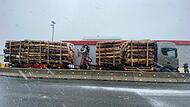 Holzlaster überladen