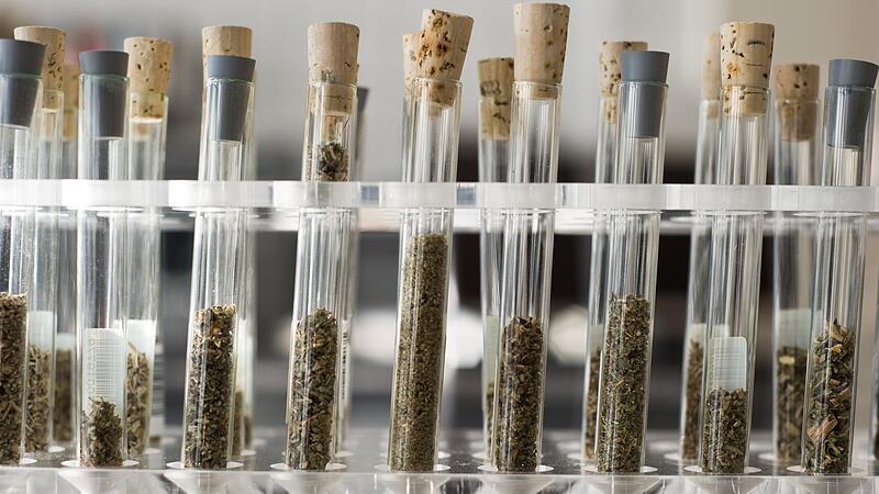 Reagenzgl&auml;ser mit neuen psychoaktiven Substanzen