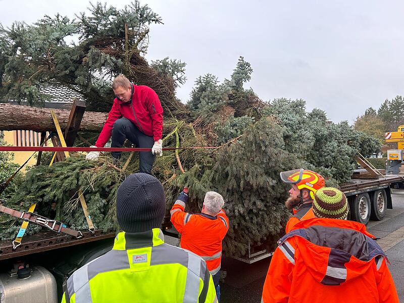 Unterwegs mit dem Coburger Weihnachtsbaum