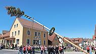 Mit Muskelkraft wurde der Maibaum aufgerichtet.
