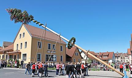 Mit Muskelkraft wurde der Maibaum aufgerichtet.