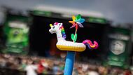 Einhorn