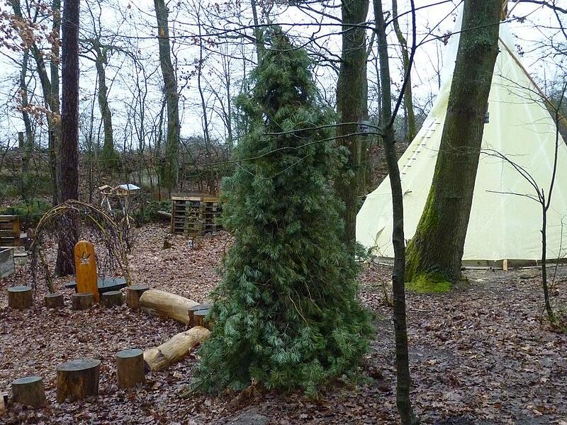 Der nachhaltige Weihnachtsbaum des Waldkindergartens ist ein Blickfang des Areals.