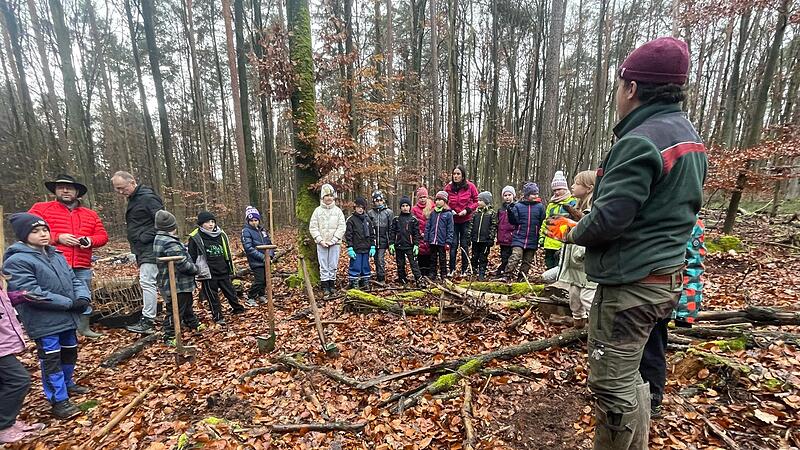 Auf dieser Fläche fand die Pflanzaktion mitten im Ebelsbacher Gemeindewald statt.