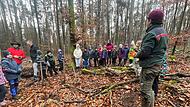 Auf dieser Fläche fand die Pflanzaktion mitten im Ebelsbacher Gemeindewald statt.