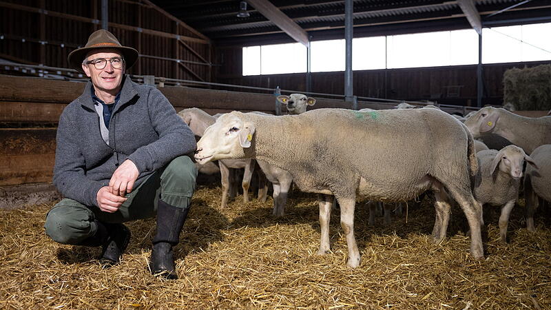 Penny-Schaefer-40.jpg Penny-Schaefer-40.jpg