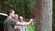 .Daniel Messingschlager sprüht bei der Begehung mit Frank Rebhan (Mitte) und Bernd Lauterbach eine Nummer auf einen vom Borkenkäfer befallenen Baum am Muppberg.