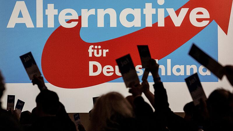 Die Umfragewerte der AfD kennen derzeit nur eine Richtung: nach oben.