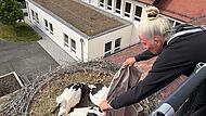 Die Jungst&ouml;rche auf dem Dach der Carl-Platz-Schule in Herzogenaurach werden von Christine Schubert beringt.