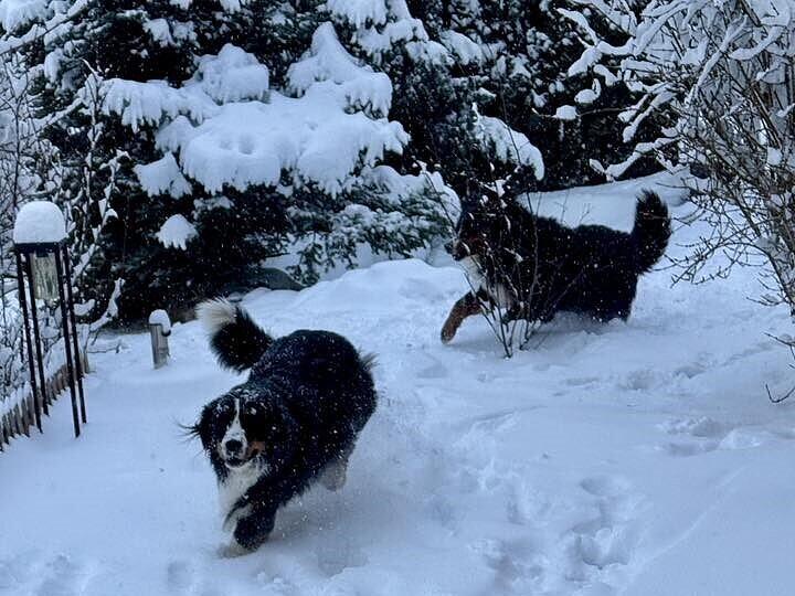 Schnee in Kulmbach: Die sch&ouml;nsten Leserfotos