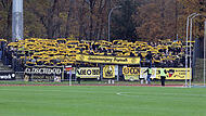 Die Fans der SpVgg Bayreuth brachten eine Choreo zum Derby beim FC Eintracht Bamberg mit.FC Eintracht Bamberg vs. SpVgg Bayreuth (16.11.2024) Die Fans der SpVgg Bayreuth brachten eine Choreo mit.