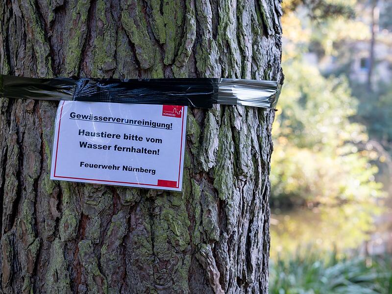 Langwassersee in Nürnberg verunreinigt