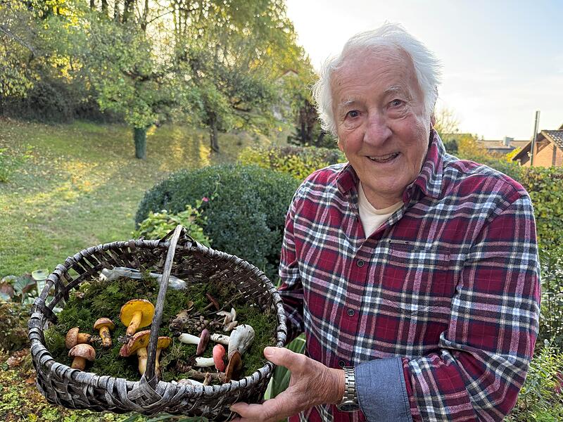 Der H&ouml;chstadter Biologe und Pilzexperte Hans Krautblatter pr&auml;sentiert seine Sch&auml;tze  - und warnt vor dem Einsatz von KI zur Bestimmung von Pilzen.