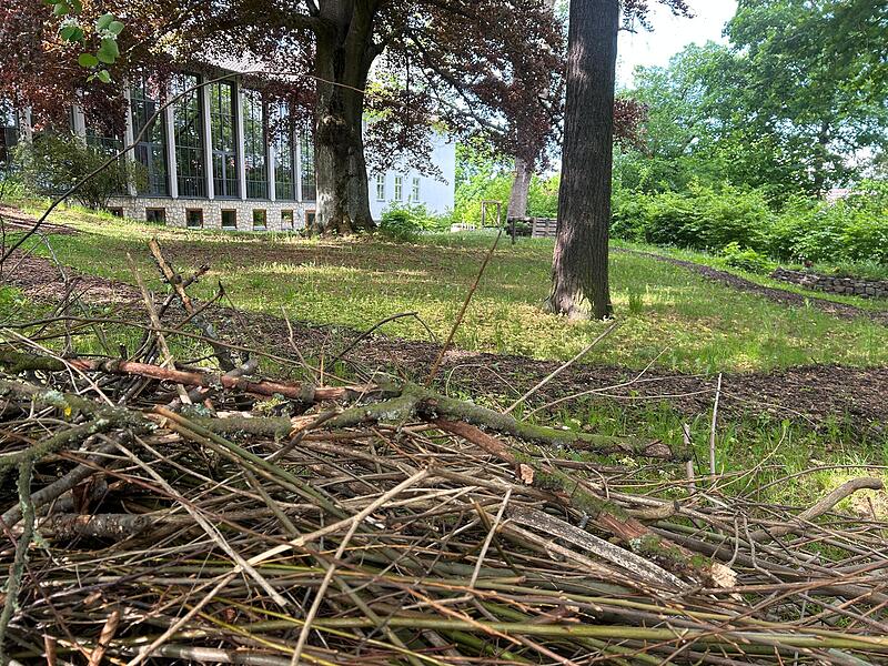 Der neue Contakt-Garten in Coburg soll Lust auf Umwelt- und Naturschutz machen.
