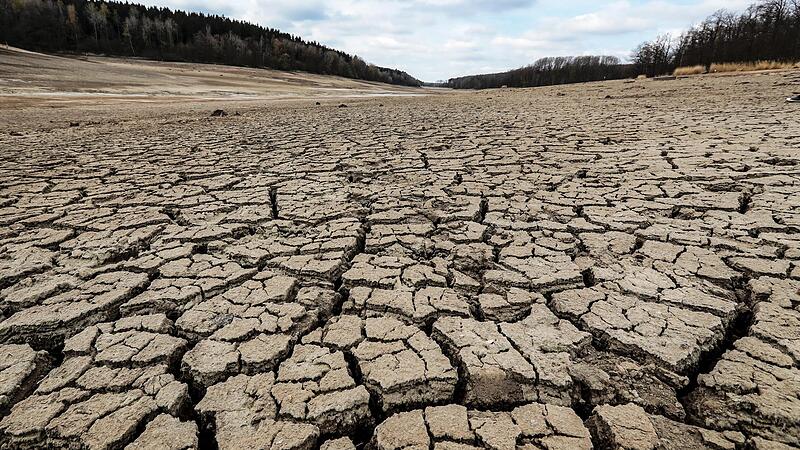 Der Ellertsh&auml;user See gleicht einer Mondlandschaft.
