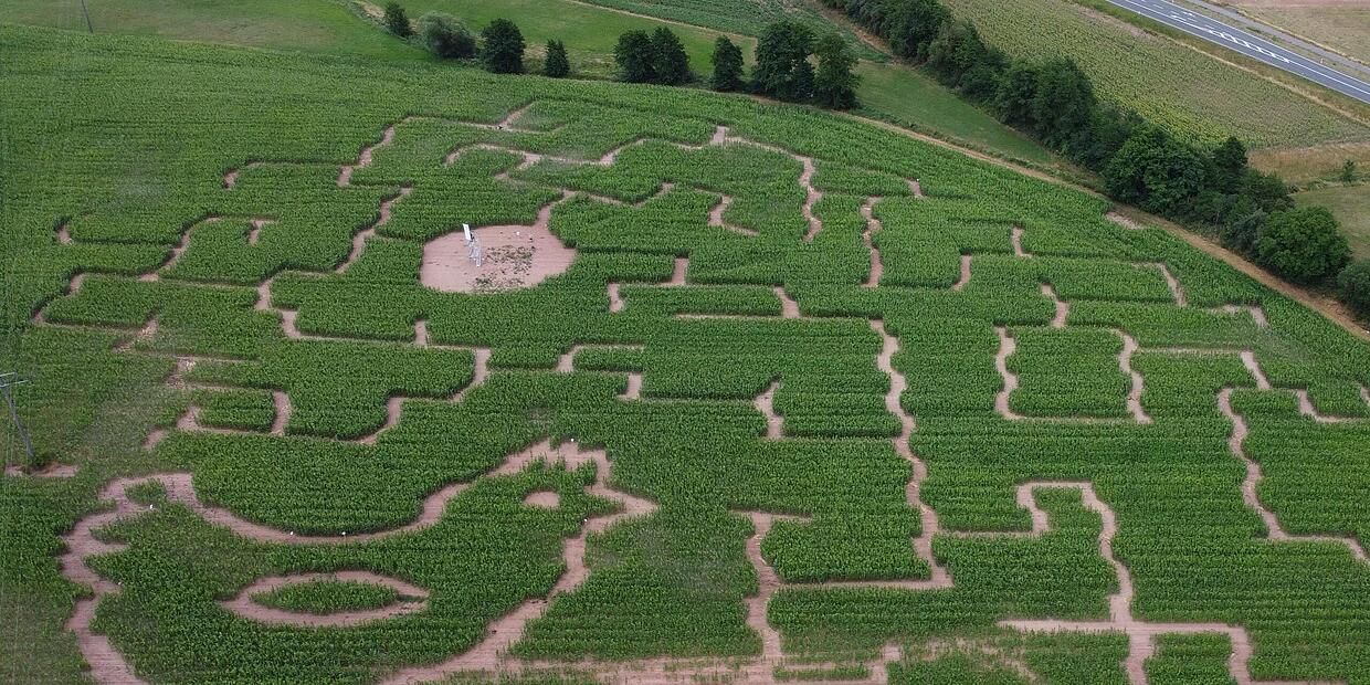 Maislabyrinth im RemsMurrKreis Hier ist der Irrweg das Ziel RemsMurrKreis Maislabyrinth im RemsMurrKreis Hier ist der Irrweg das Ziel RemsMurrKreis