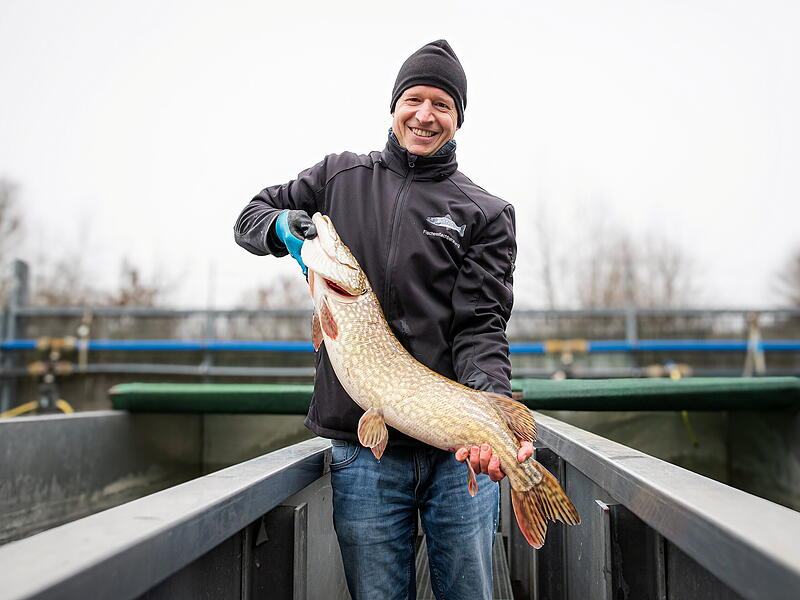 kolahsa-10.jpg kolahsa-10.jpg